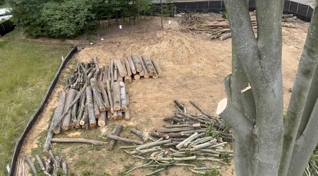 Images Kelley's Tree Service