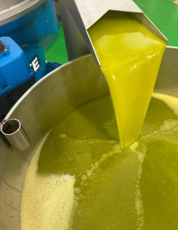 Images Punto Olio Extravergine D’ Oliva