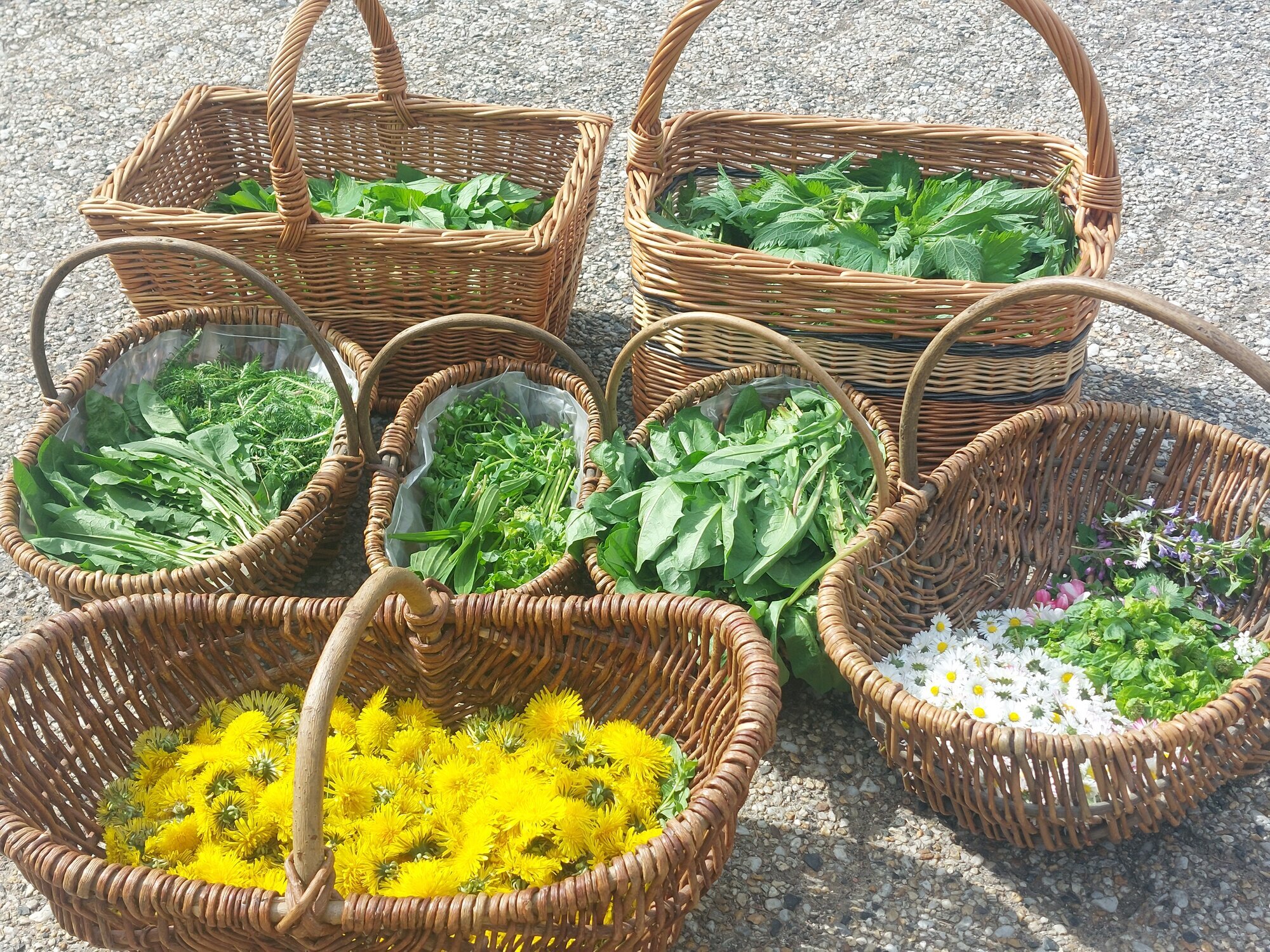 Fasten & Balance - Larissa Hoffmann, Strüthbachweg 1 in Heidenrod