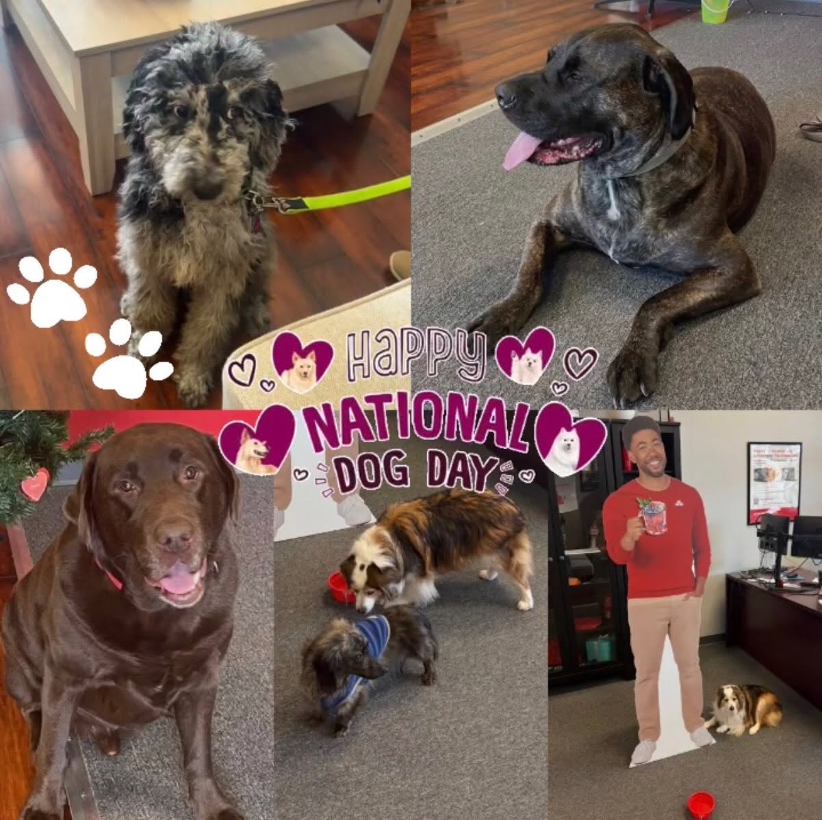 Happy National Dog Day!