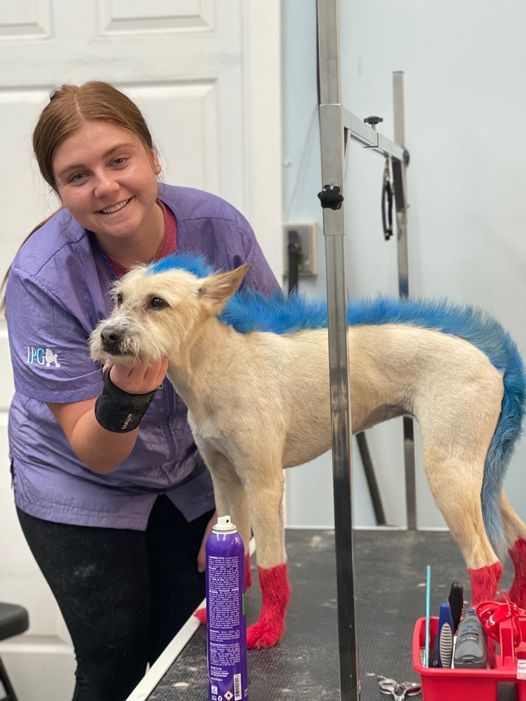 Images San Diego Grooming Academy