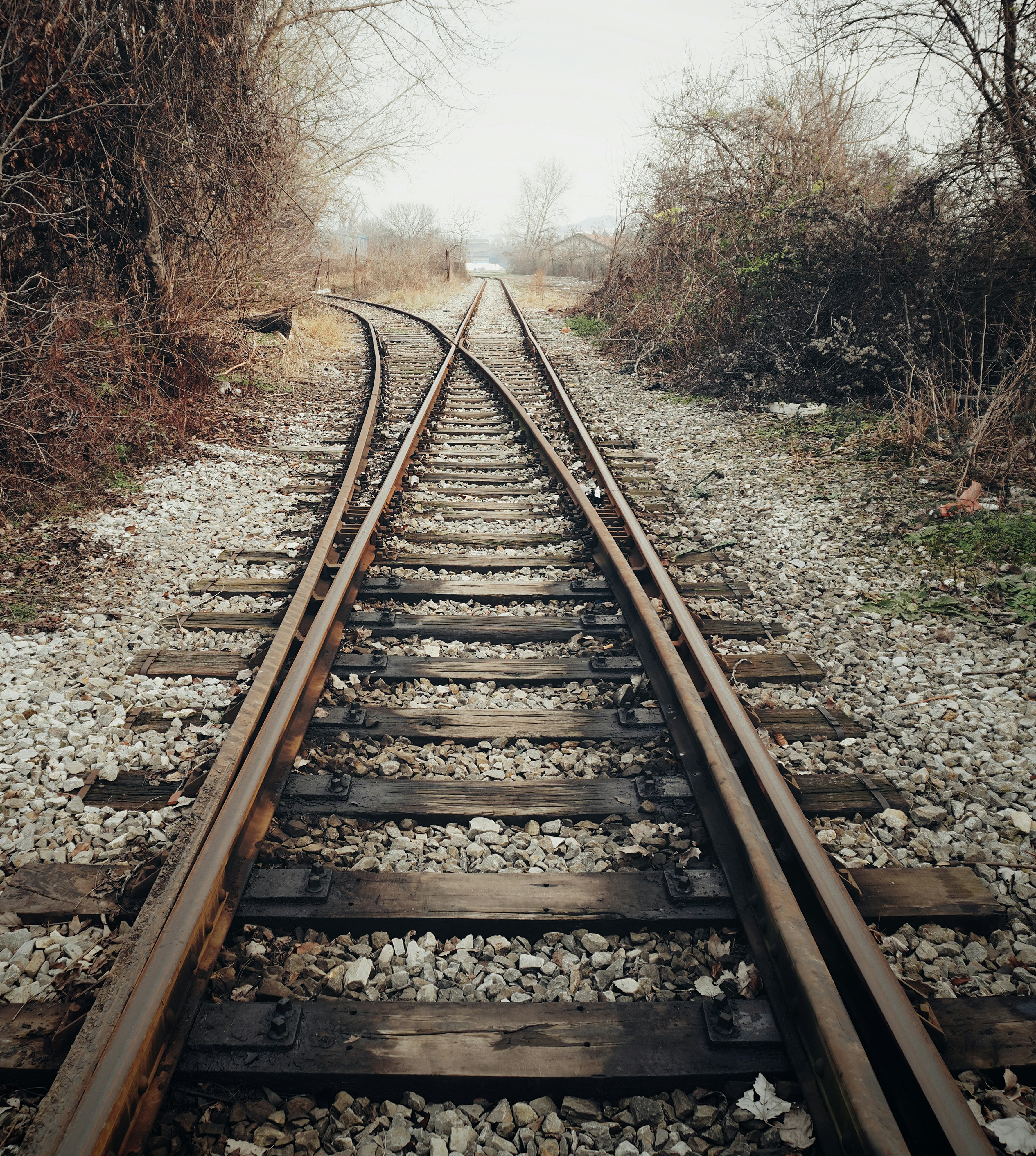 main blog image