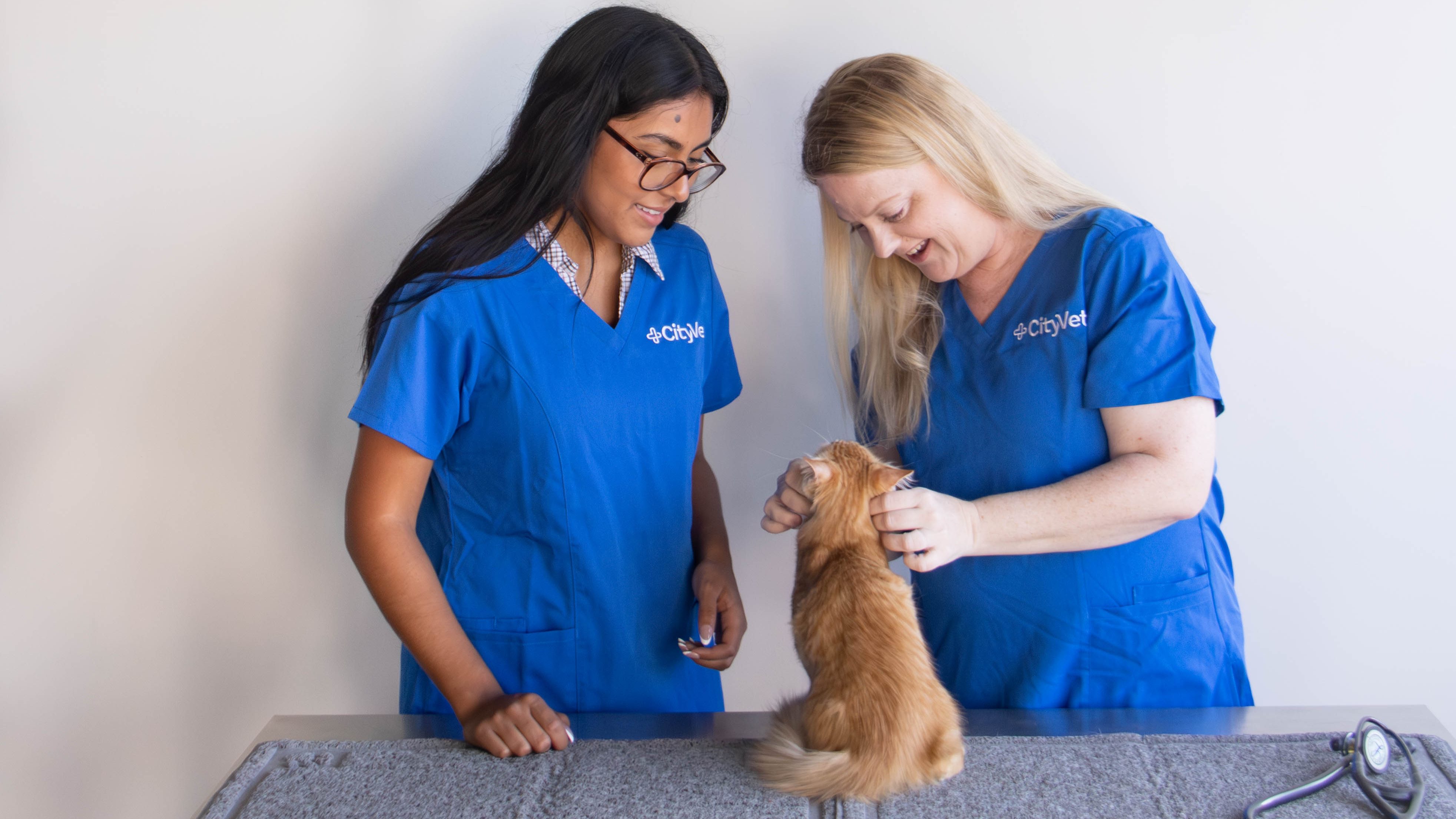 CityVet | Harmony Veterinary Clinic & Urgent Care