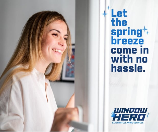 Images Window Hero Charlotte