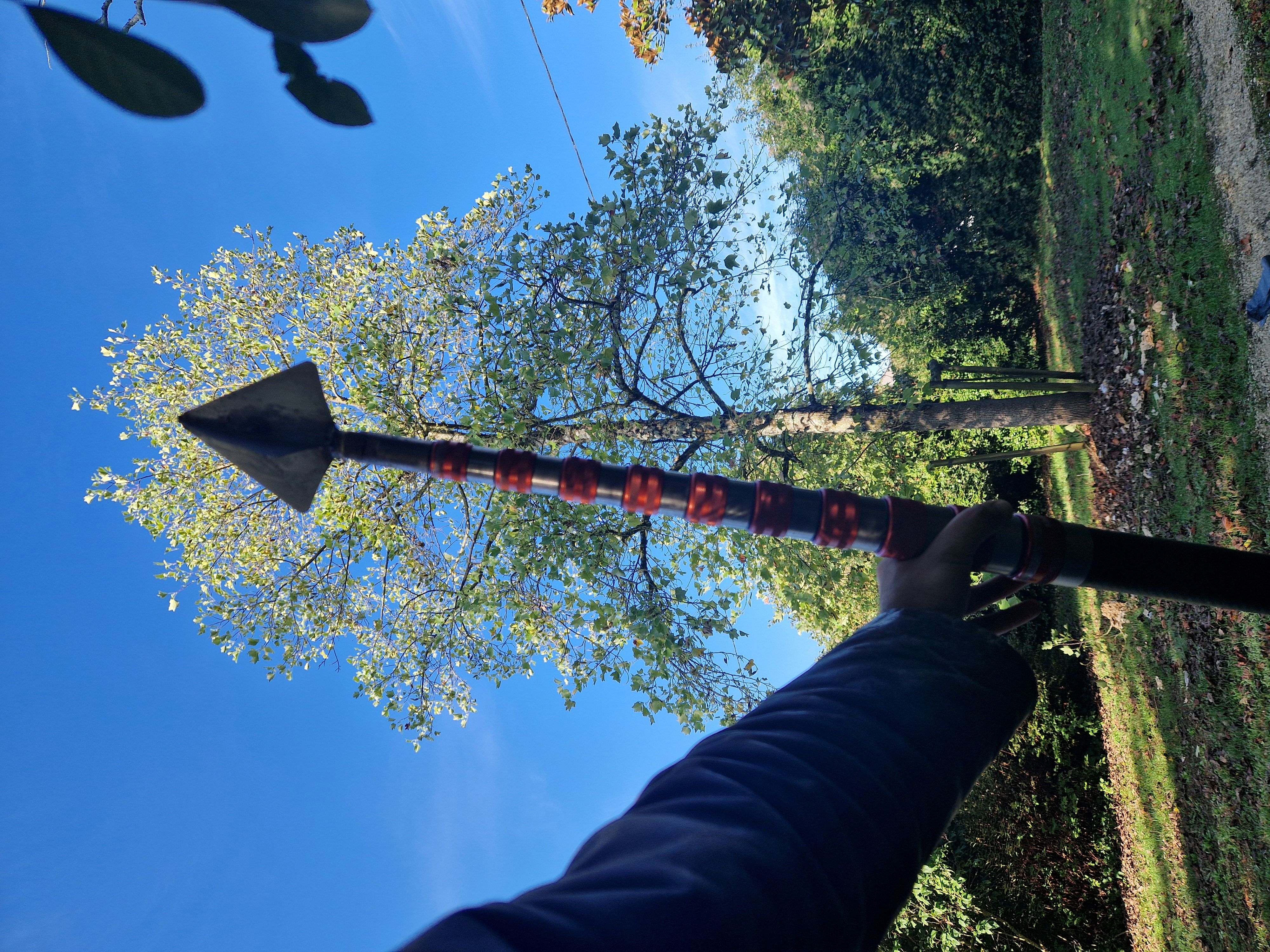 Destruction de nid de frelons asiatiques à Landrais Destruction de nid de frelons asiatiques à Landrais