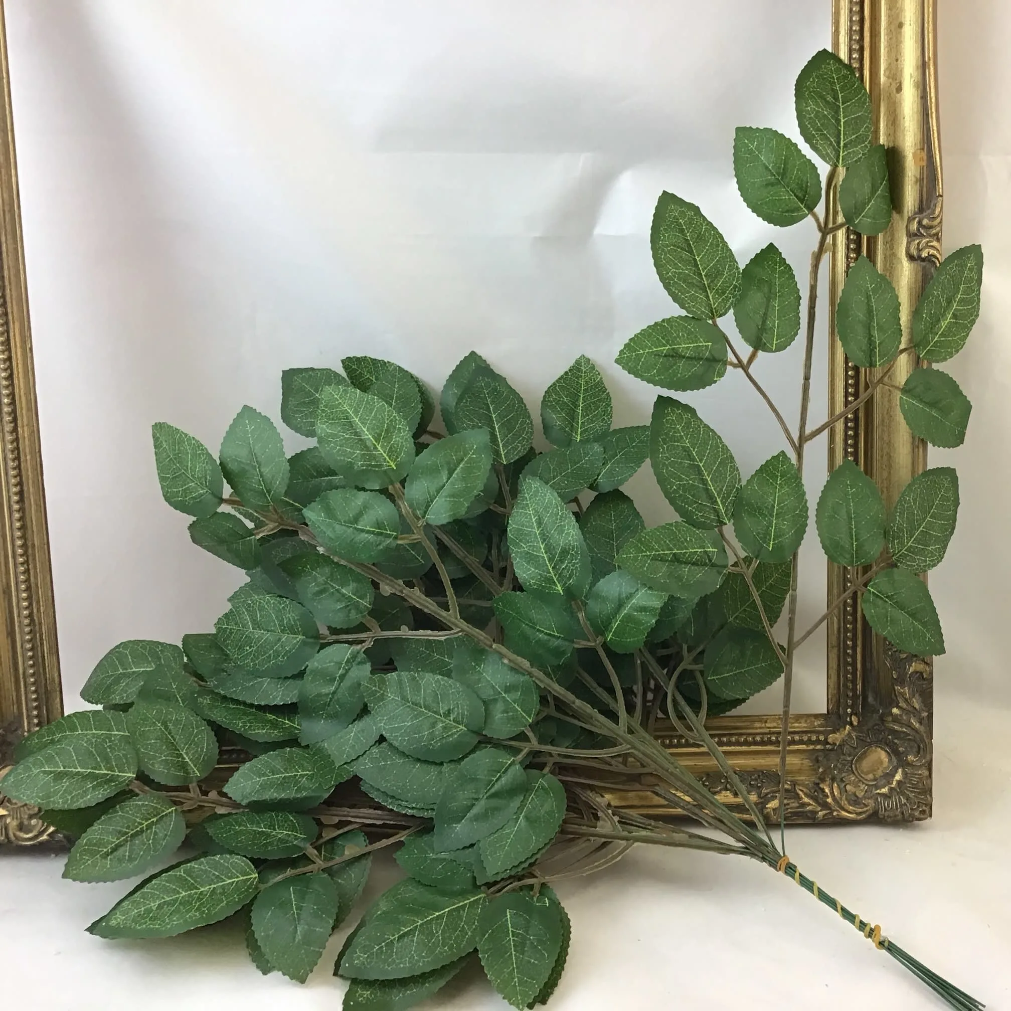 Images Village Green Wholesale Ltd