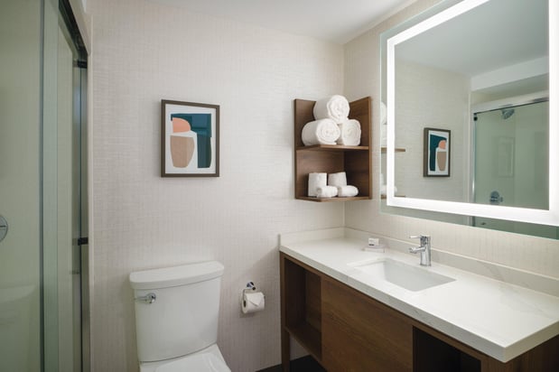 Images Holiday Inn Chicago O'Hare - Rosemont by IHG