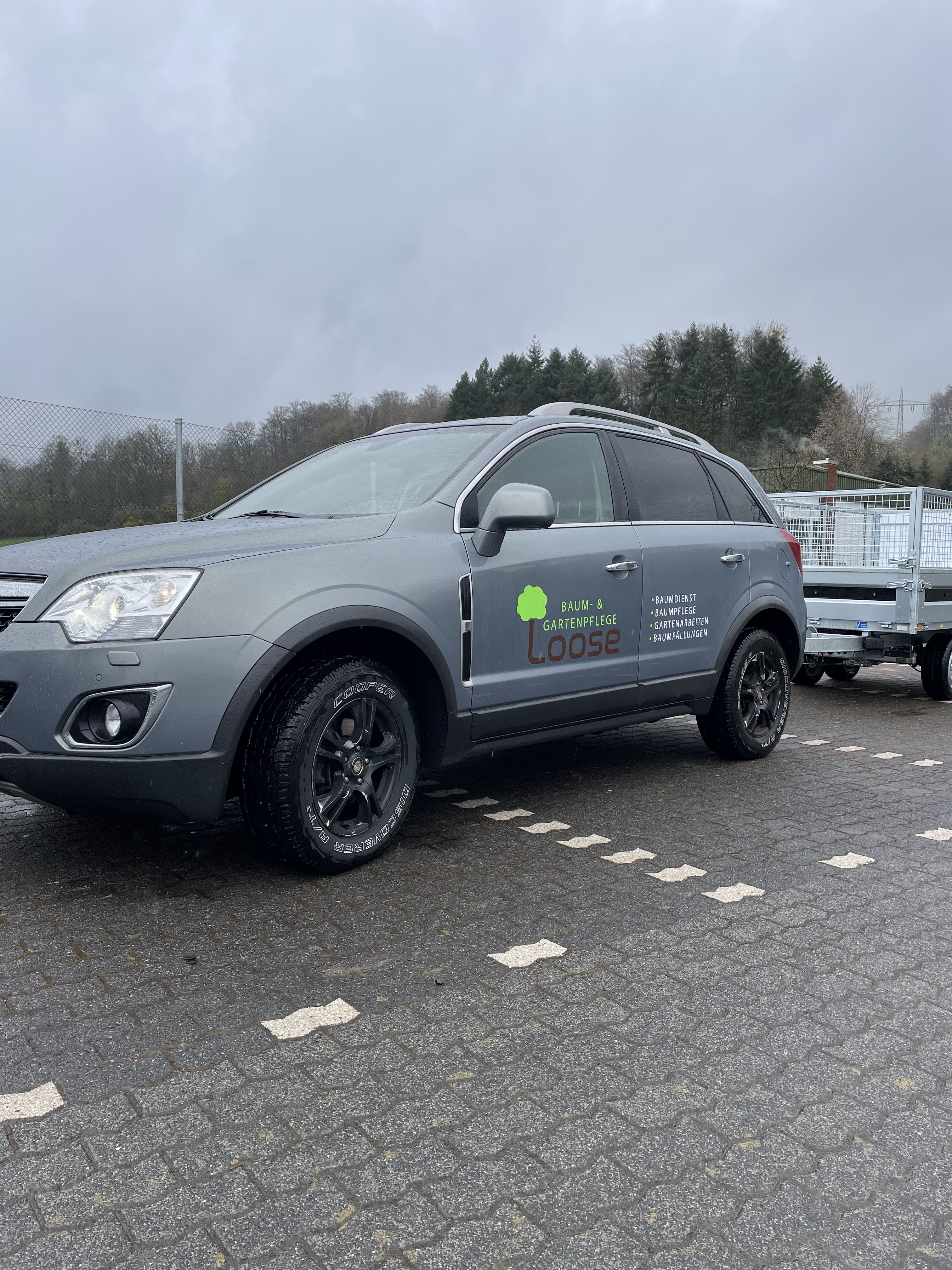 Baum- & Gartenpflege Loose in Melsbach