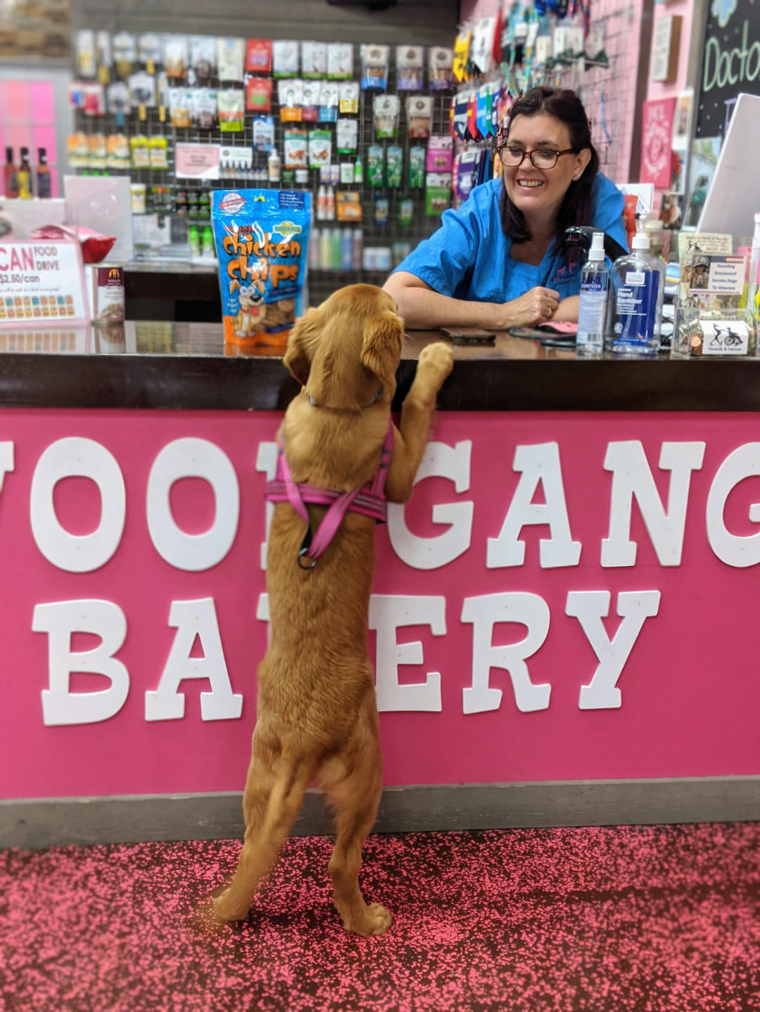 Woof Gang Bakery & Grooming North Palm Beach Photo