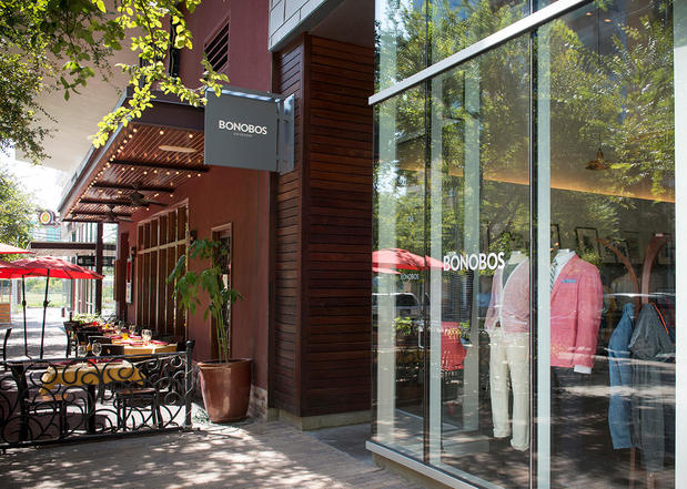 Images Bonobos