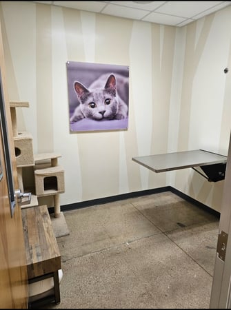 Images Vetco Total Care Animal Hospital