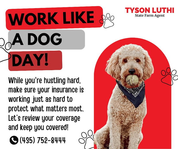 Images Tyson Luthi - State Farm Insurance Agent