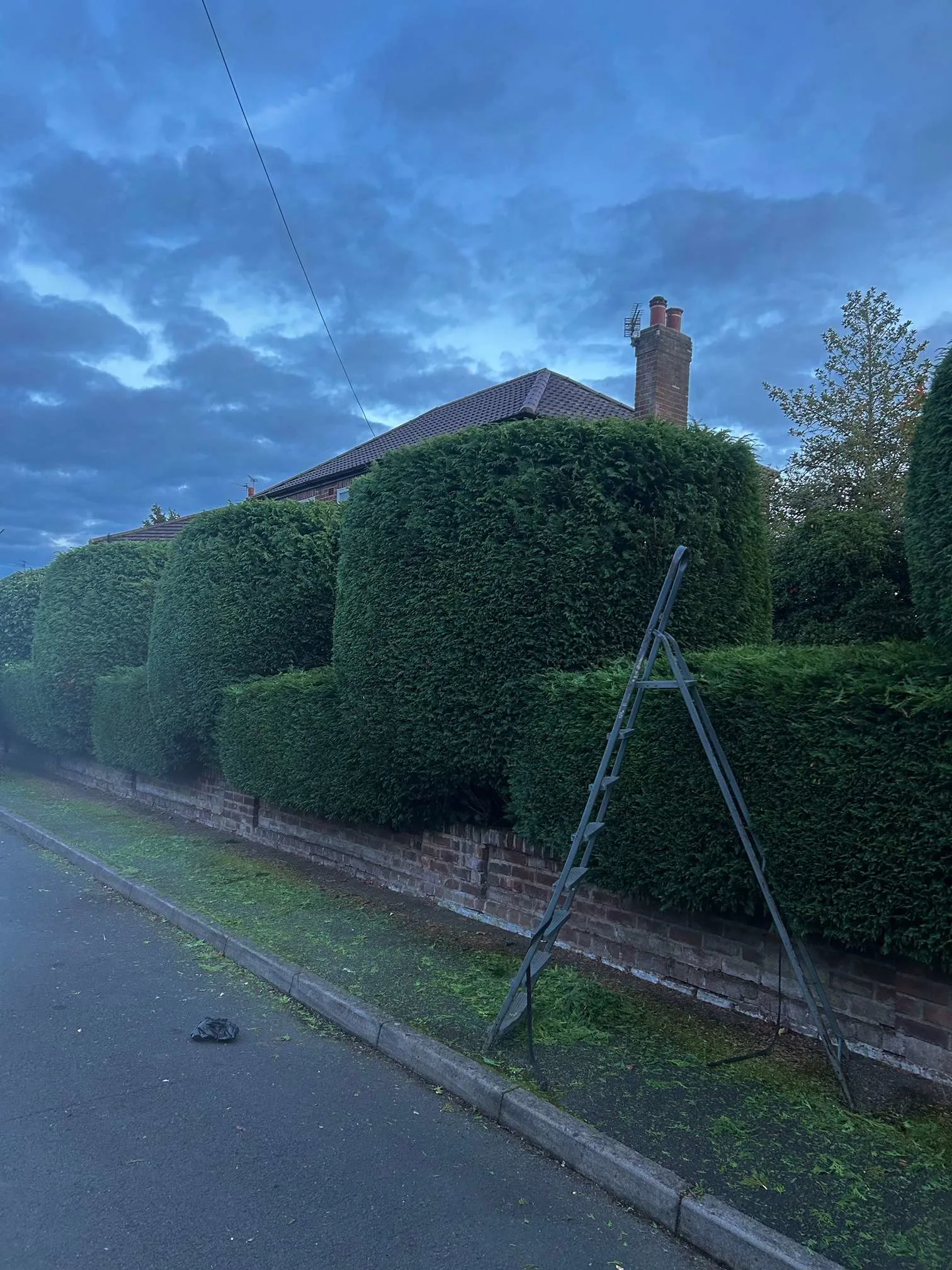 Images J.Chaney Garden Maintenance & Landscaping