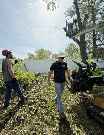 Images Mason Tree Service