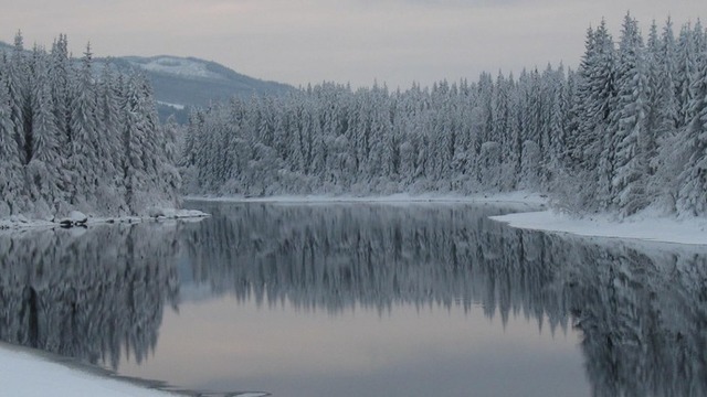 Images Skogsmäklarna i Värmland