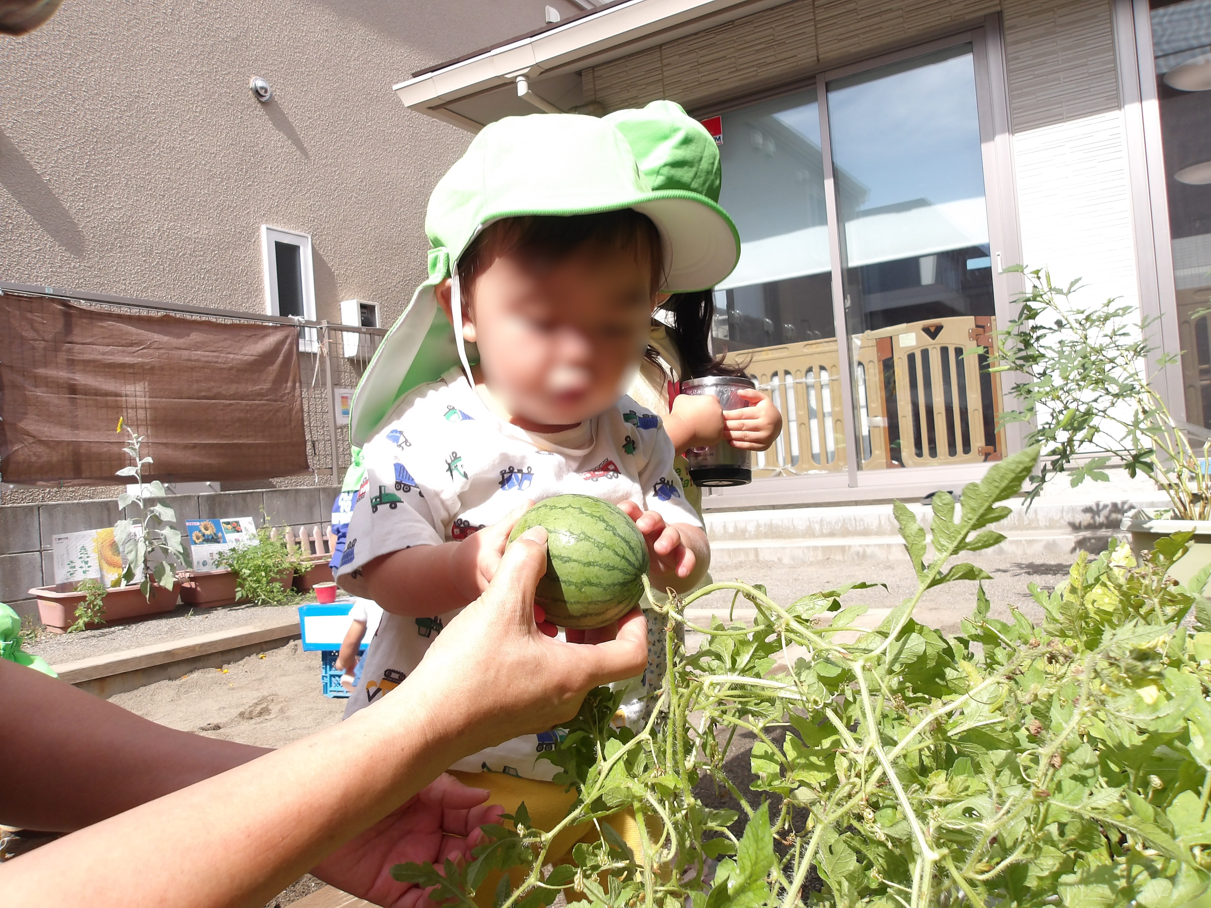 Images 幕張本郷すきっぷ保育園
