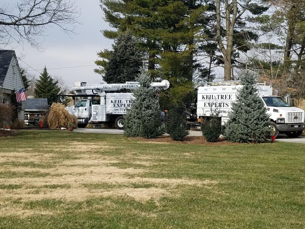 Images Keil Tree Experts Inc