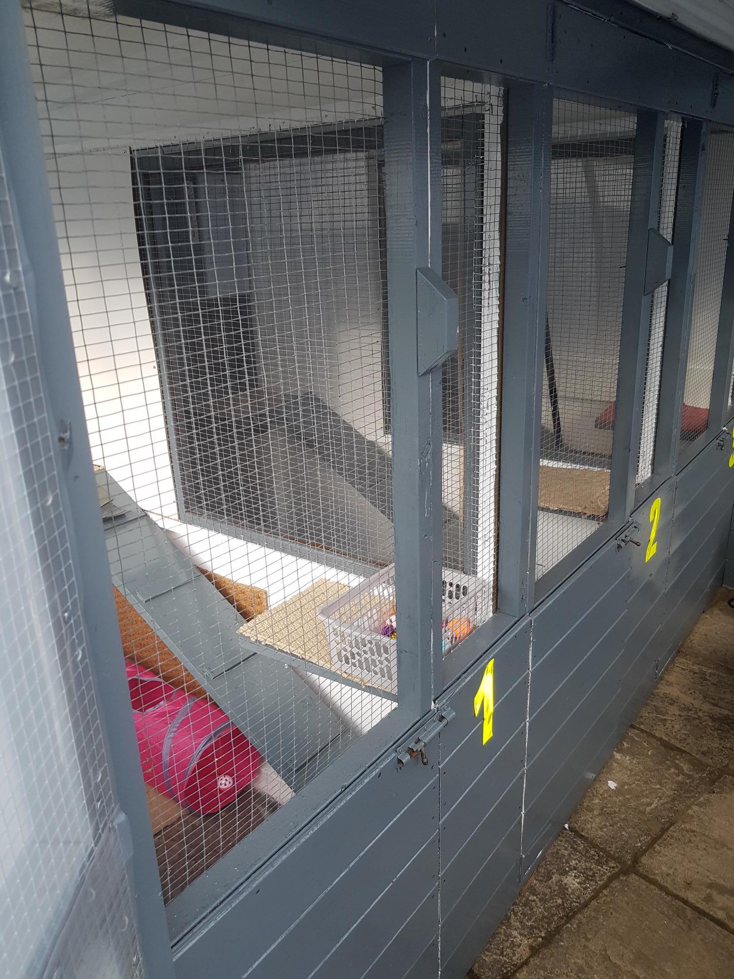 Images Garforth Cattery