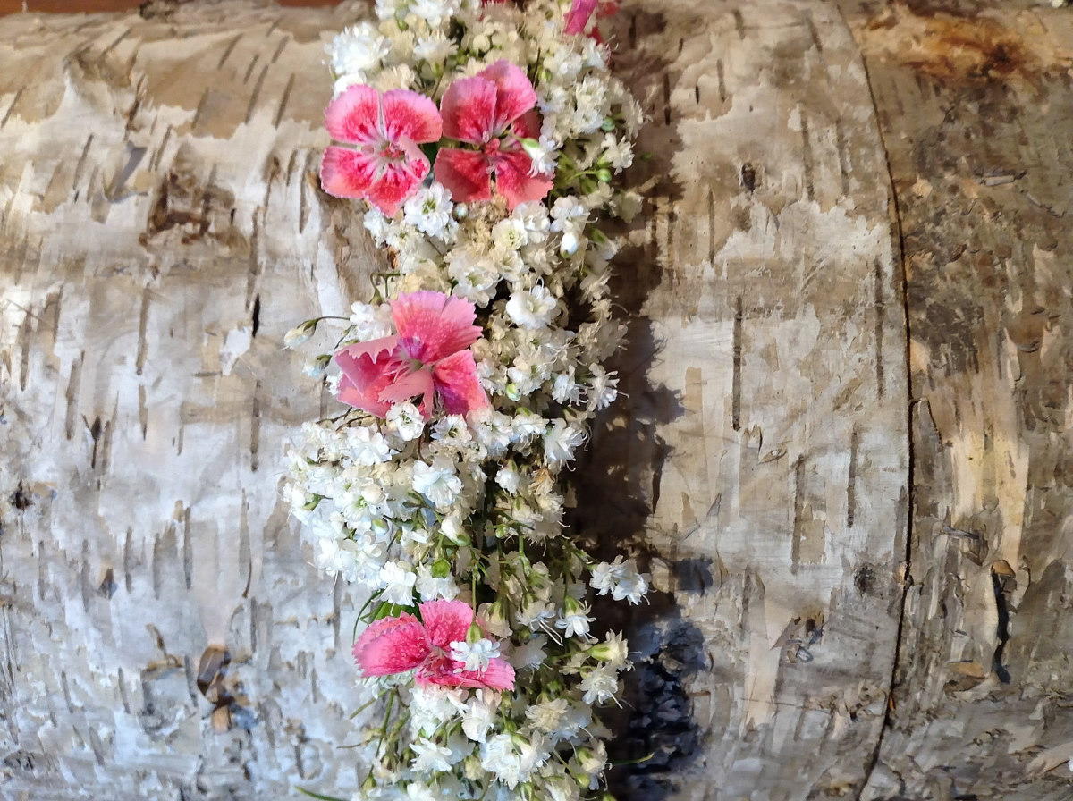 Blumiges & Mehr Erika Takacs, Lawies Hauptstraße 49 in Tullnerbach