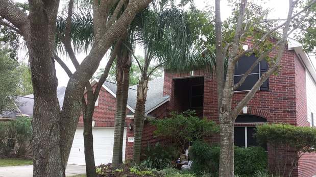 Images TNT Tree Service