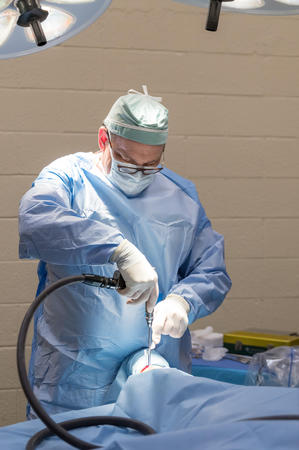 Images Palm Beach Equine Clinic