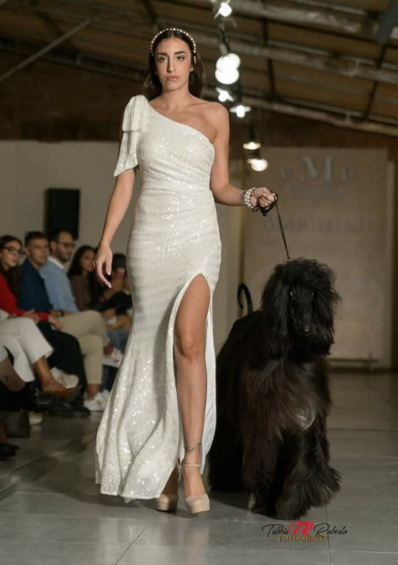 Images Come D'Incanto Toelettatrici e Beauty