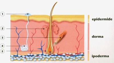 Images Dermatologo e Medicina Estetica Dott. Bettini Daniele