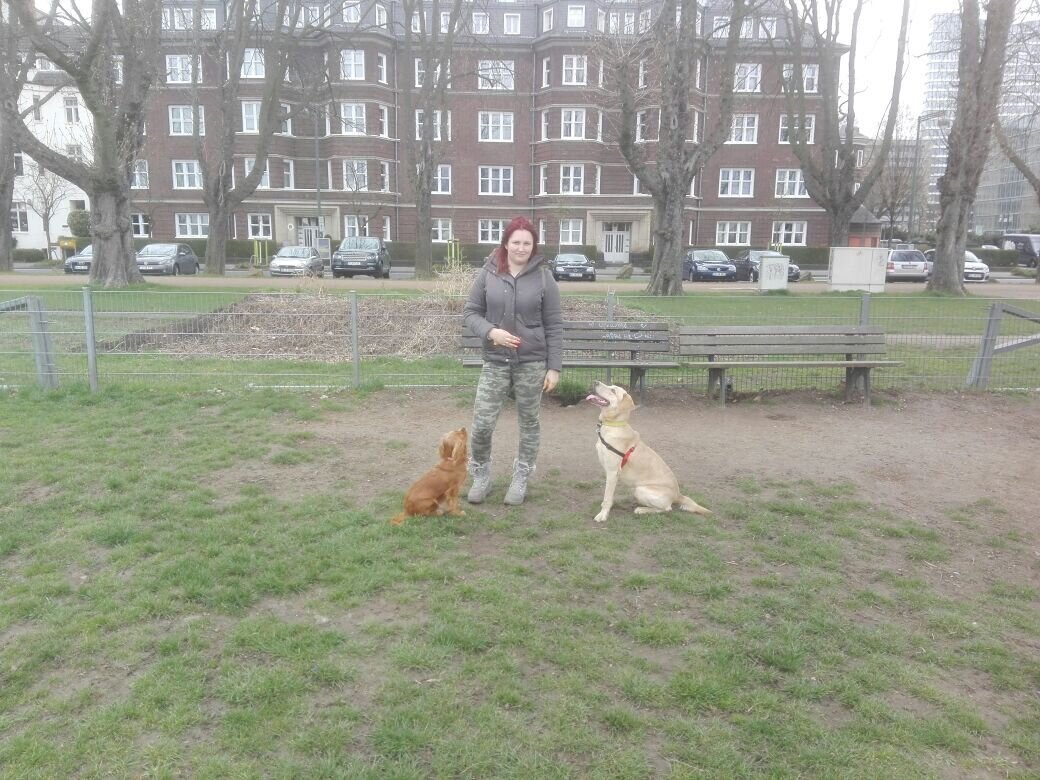 Bilder Hundezentrum Lapki