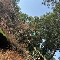 Sofkin Landscaping and Irrigation Image