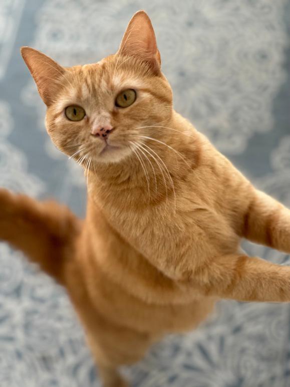 Images 4 Tassarnas Trim AB