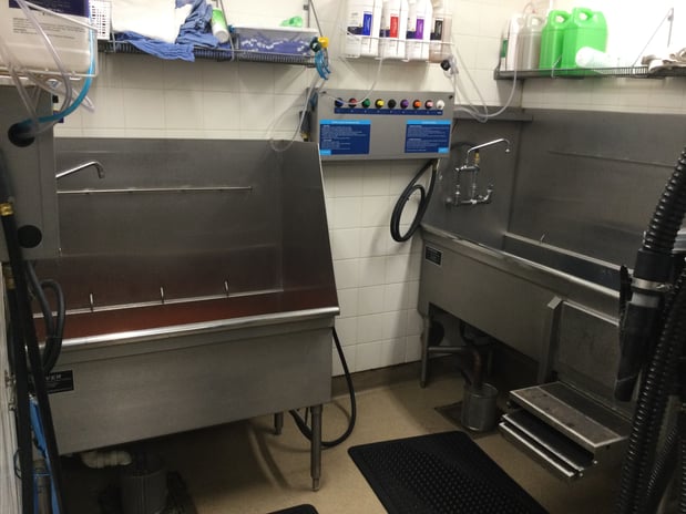 Images Petco Grooming