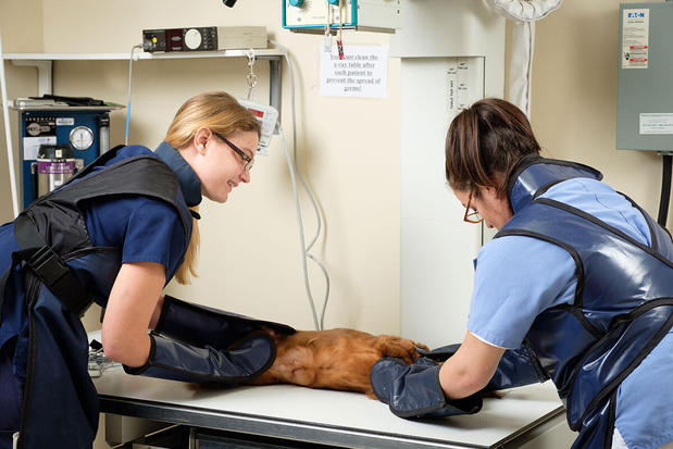 Images Care Center - Cincinnati (CARE)