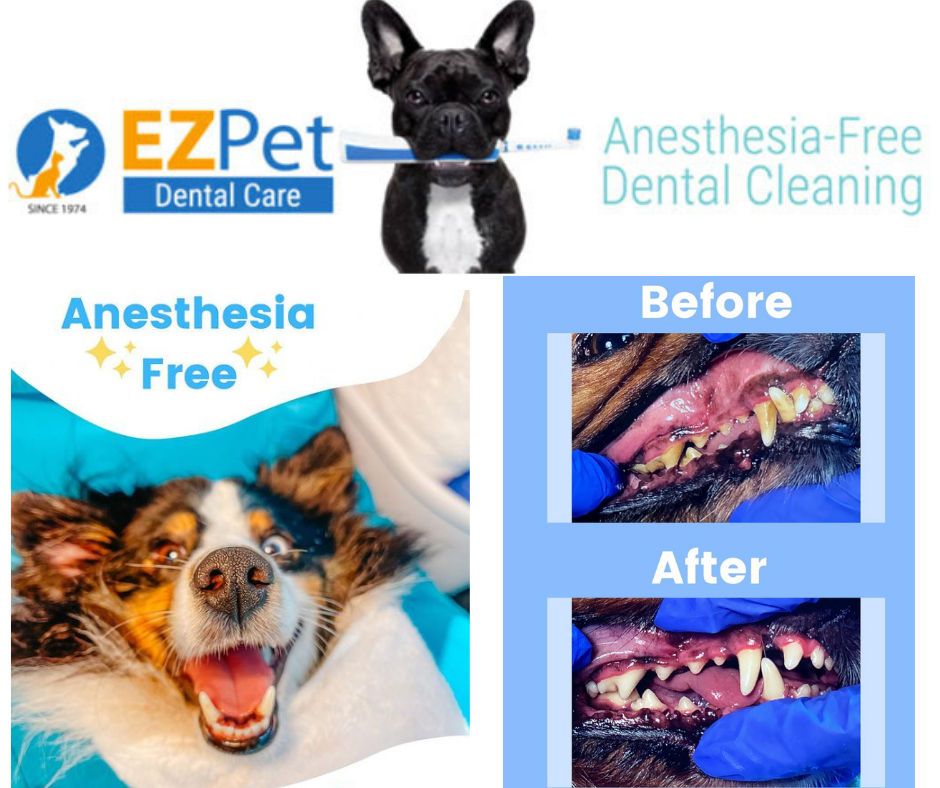 pet-food-supply-store-holistic-for-pets-in-sarasota-florida