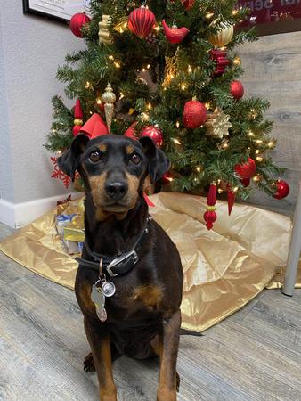 Images Jimmy Alvarez - State Farm Insurance Agent