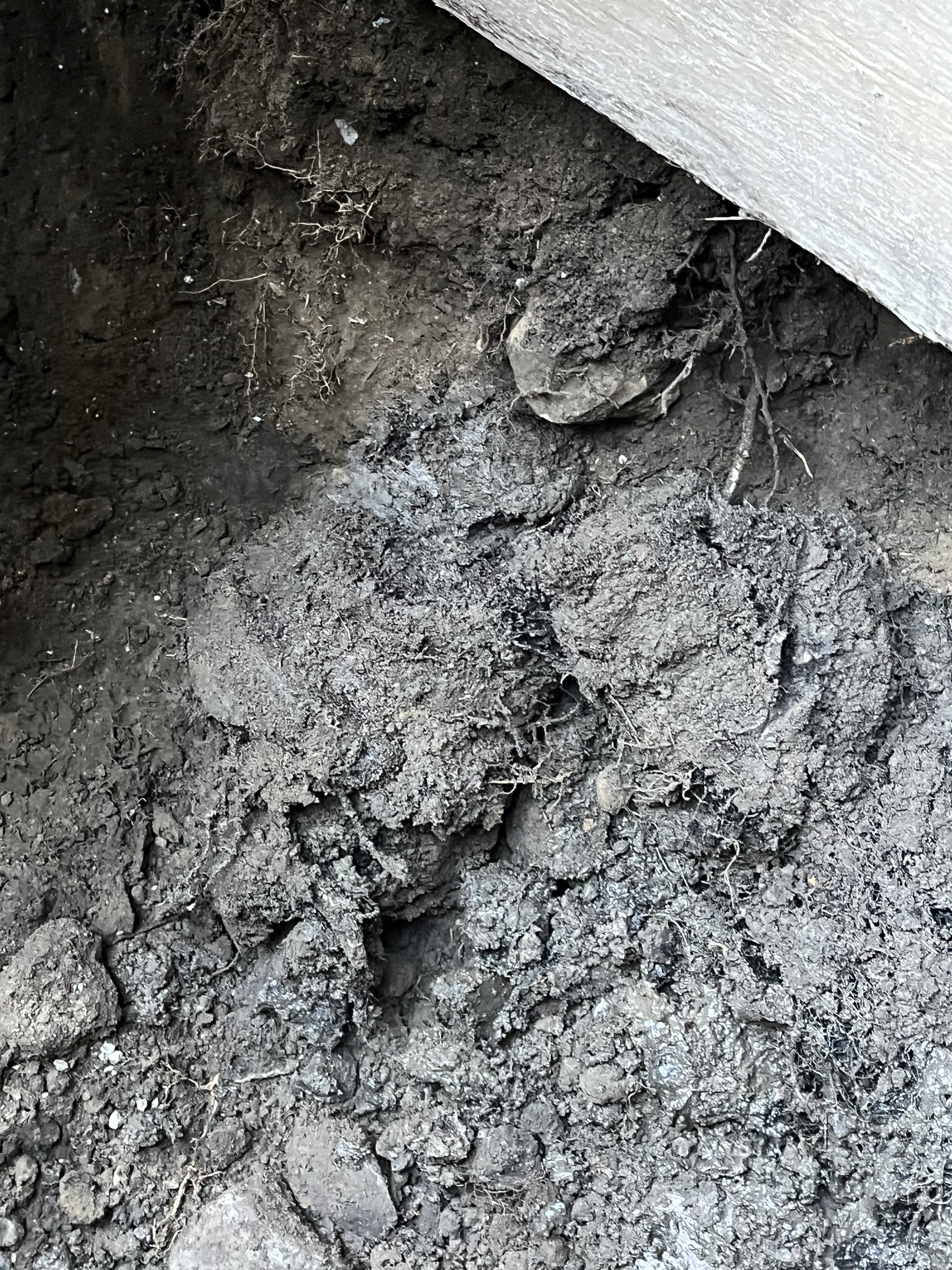 Images Drain Assistance