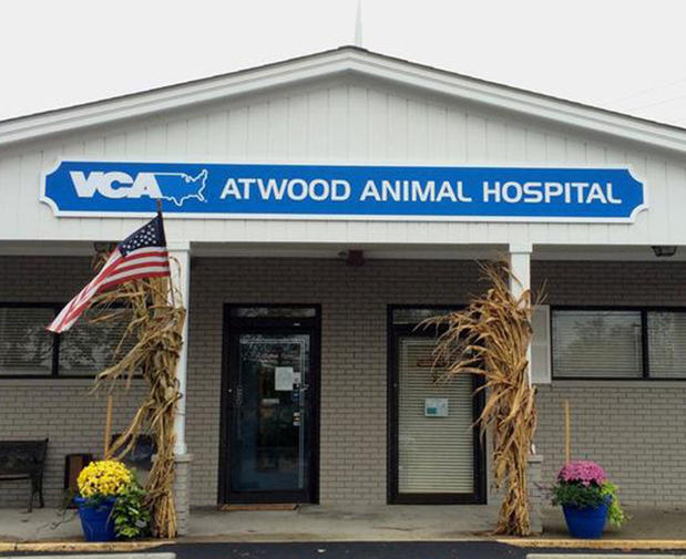 Images VCA Atwood Animal Hospital