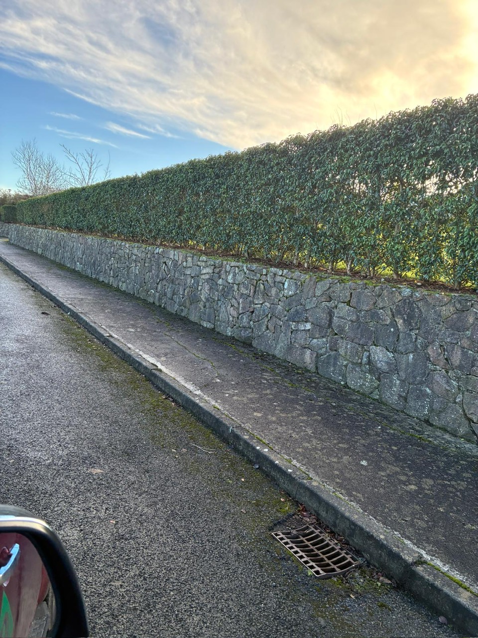 Connaughton & Sons Landscaping Ltd 9