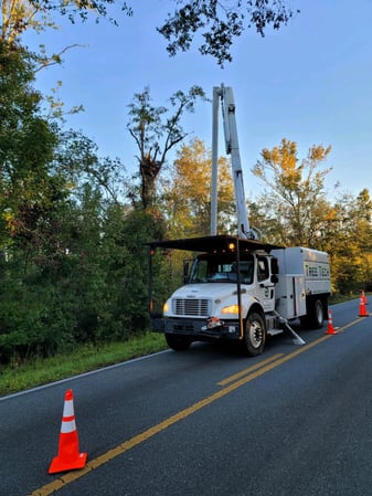 Images Tree Tech of Louisiana