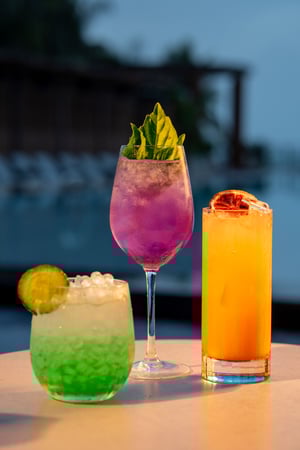 Images The Hotel Bar