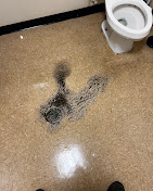 Faithful plumbing Image