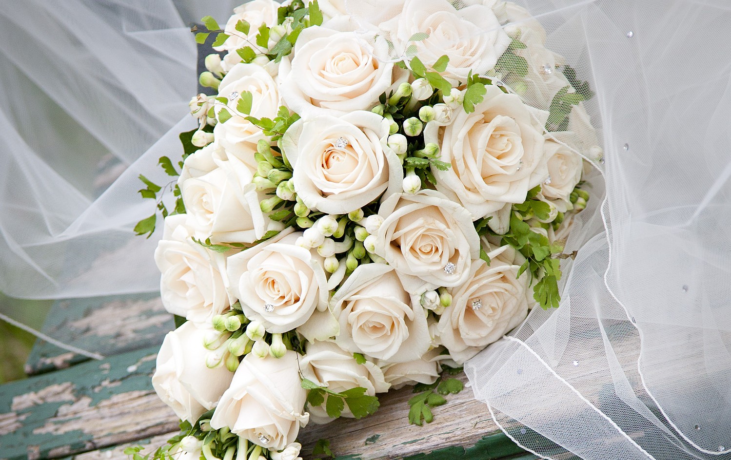 Bilder Bullo Luca Fiori