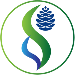 Circular Image