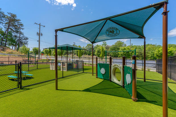 Images Primrose School of Midtown Greenville