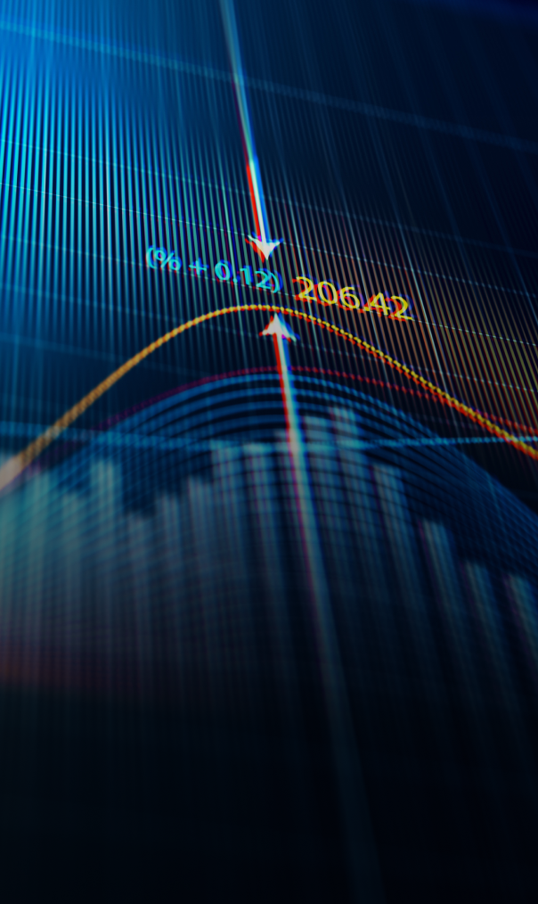 A colourful line and bar graph showcasing an asset's value over time.