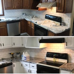 Images Arlotta Painting