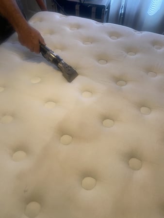 Images Dynamic Steam Carpet Cleaners