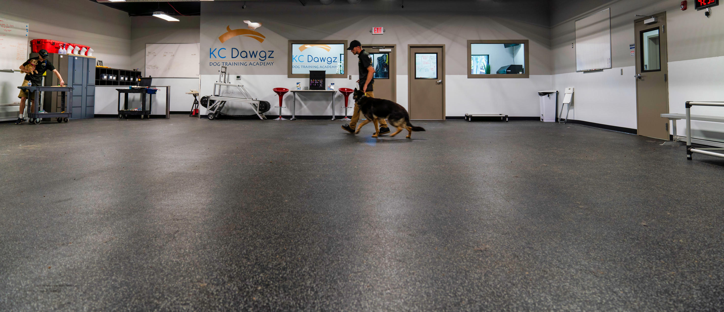 KC Dawgz Dog Training Academy Training Room 1