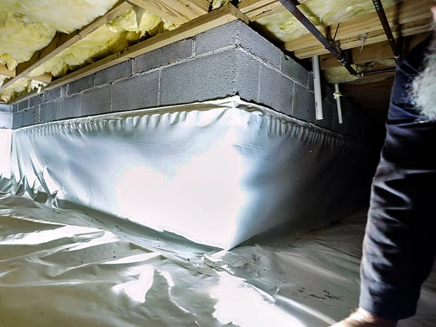 Images Pest Magic, LLC