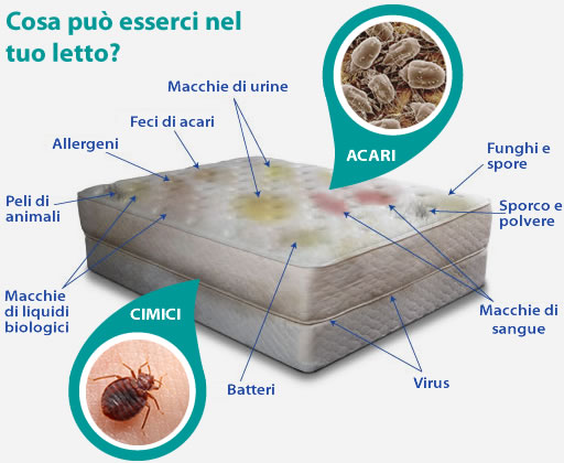 Images Mediterranea Ekoservice