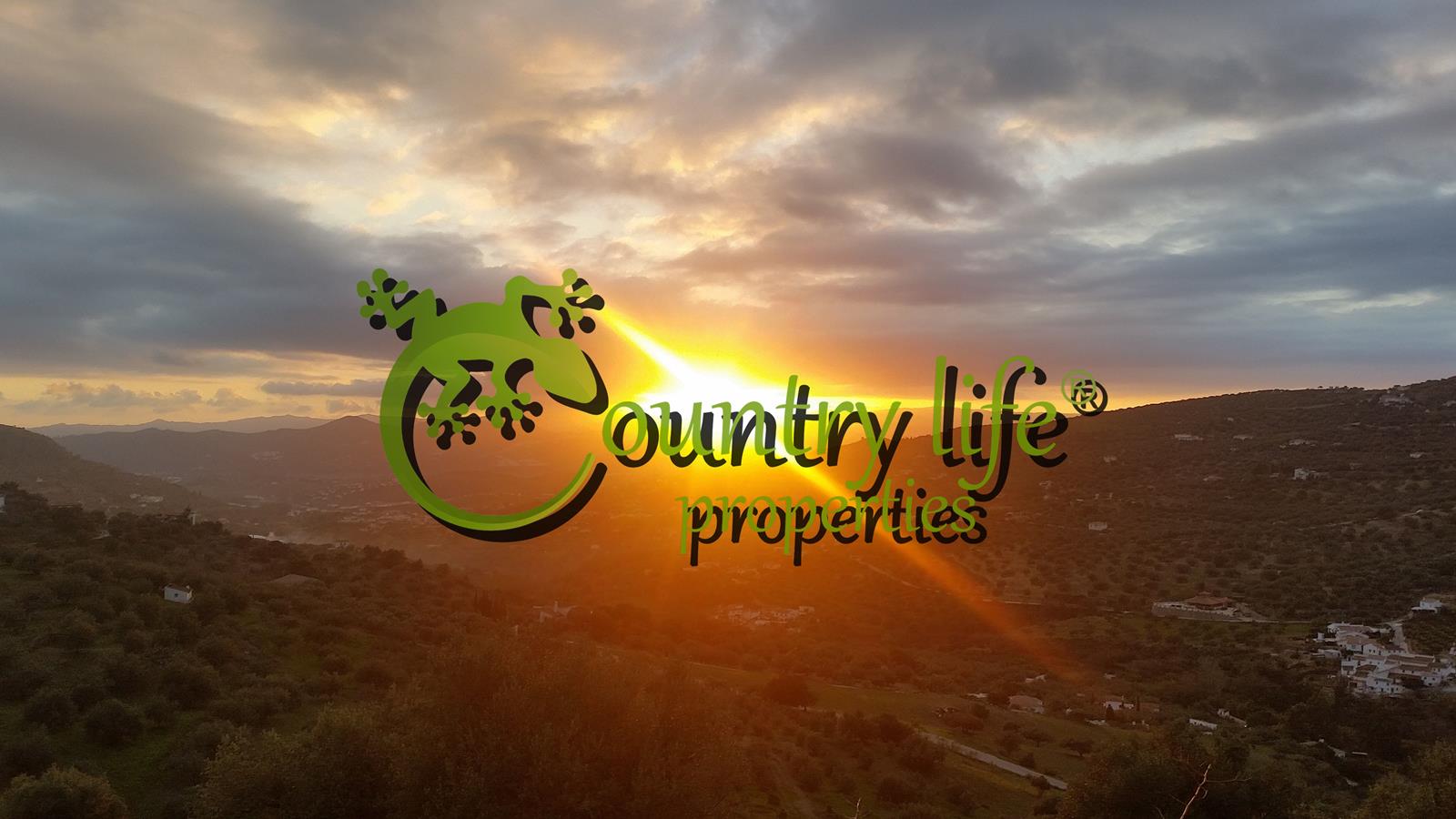 Images Country Life Properties: Real Estate and Consultancy